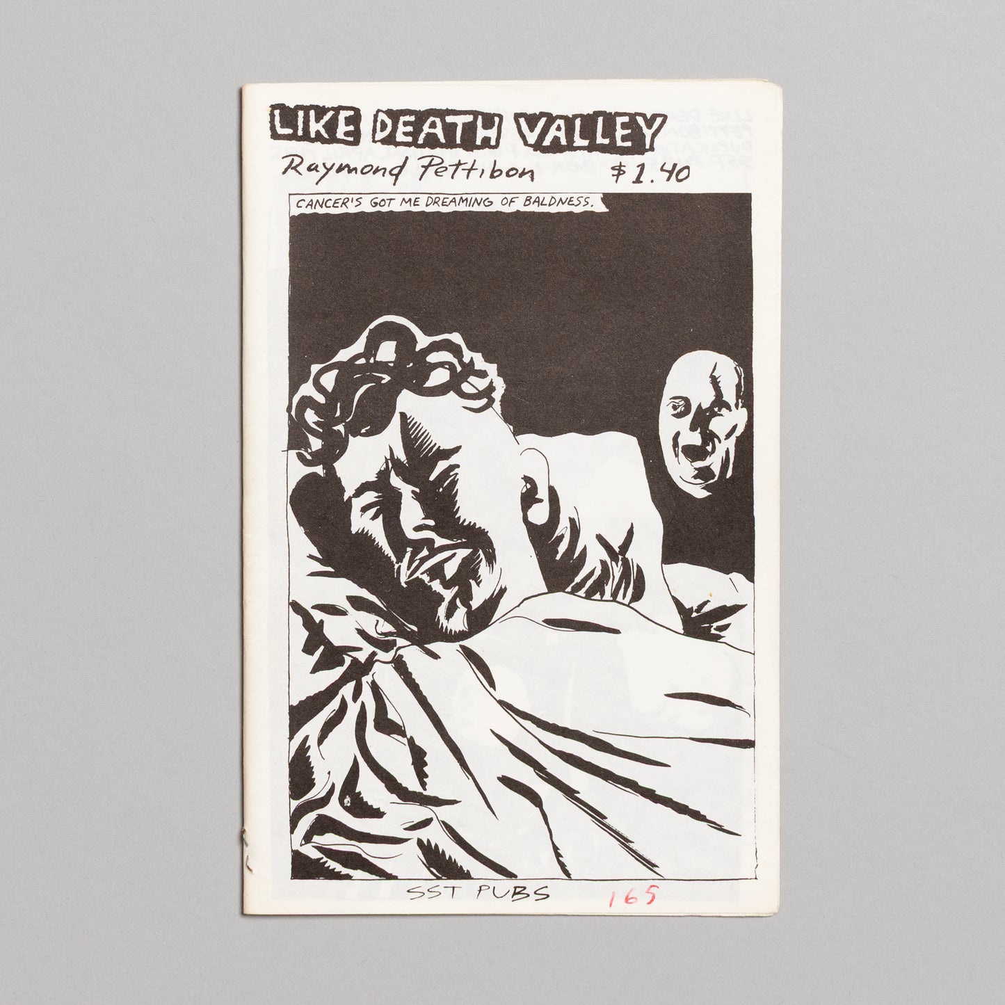 RAYMOND PETTIBON / Like Death Valley