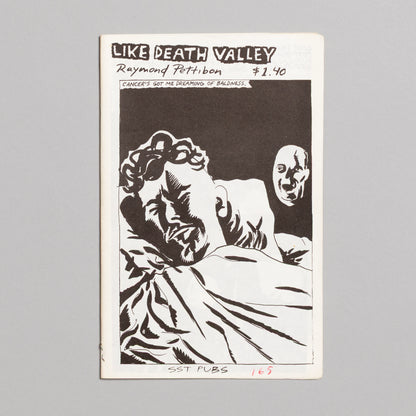 RAYMOND PETTIBON / Like Death Valley