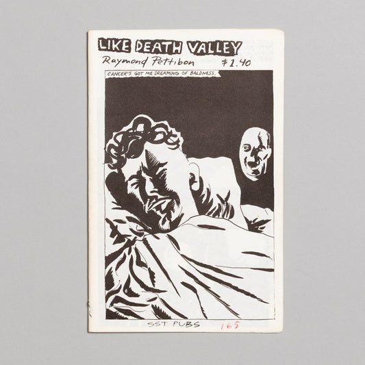 RAYMOND PETTIBON / Like Death Valley