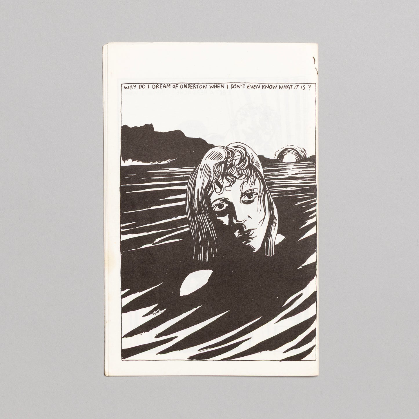 RAYMOND PETTIBON / Like Death Valley