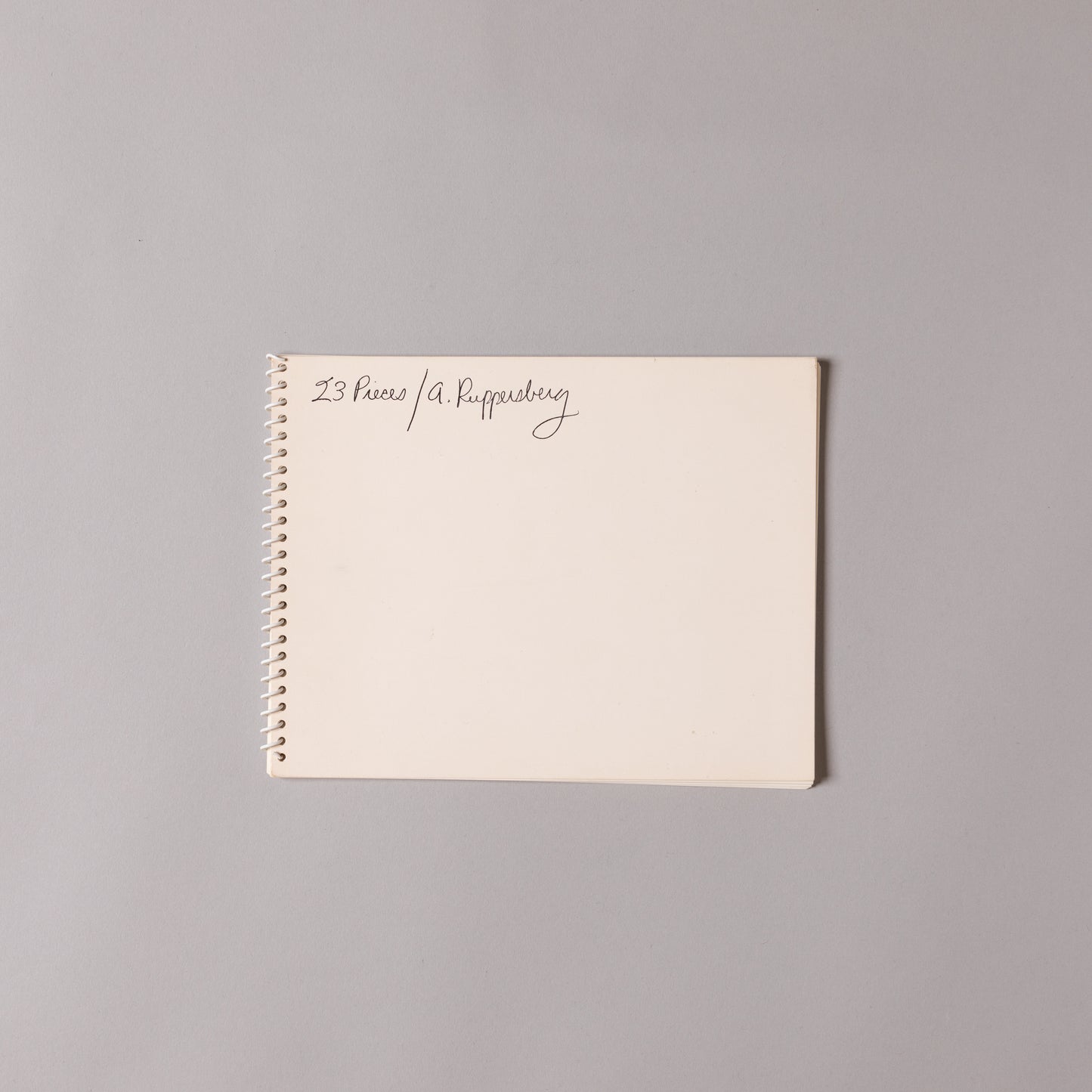 ALLEN RUPPERSBERG / 23 Pieces