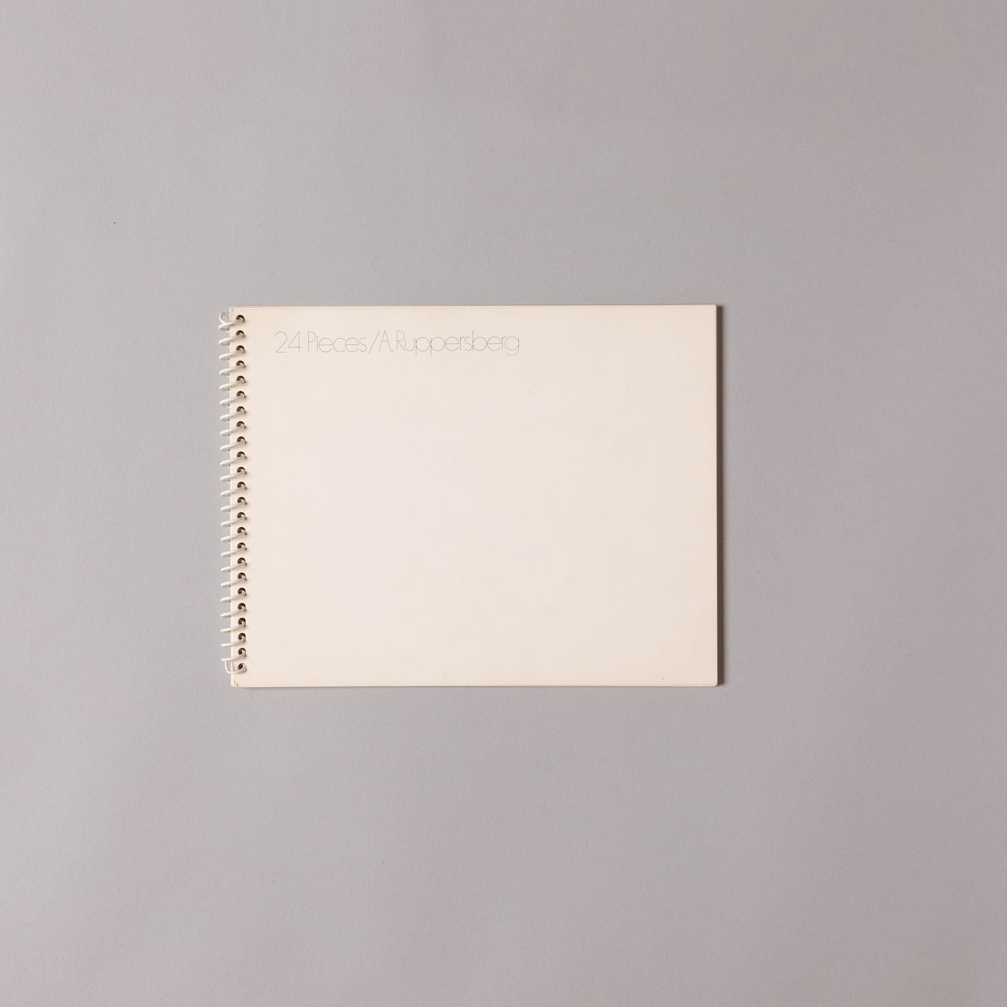 ALLEN RUPPERSBERG / 24 Pieces