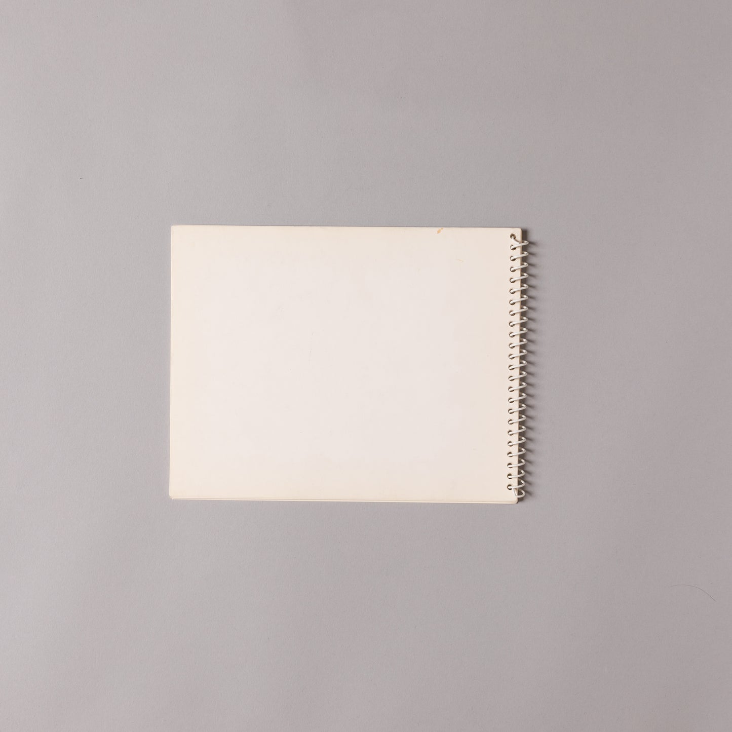 ALLEN RUPPERSBERG / 24 Pieces