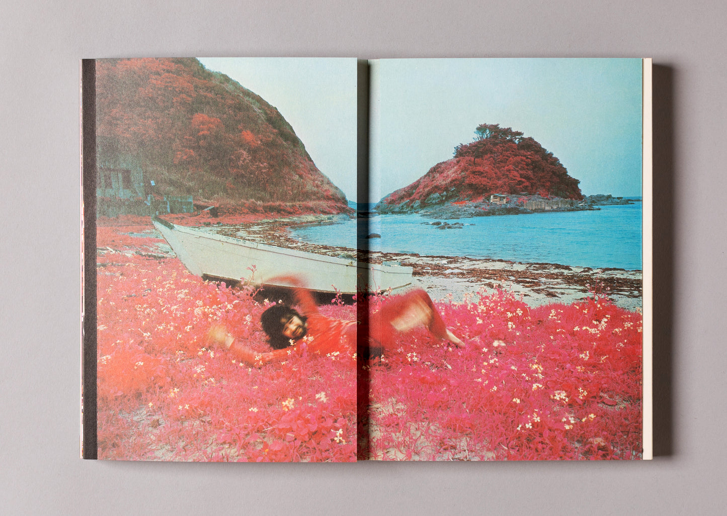 TADANORI YOKOO / The Complete Tadanori Yokoo