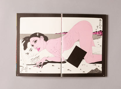 TADANORI YOKOO / The Complete Tadanori Yokoo