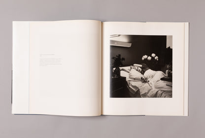 PETER HUJAR / Lost Downtown