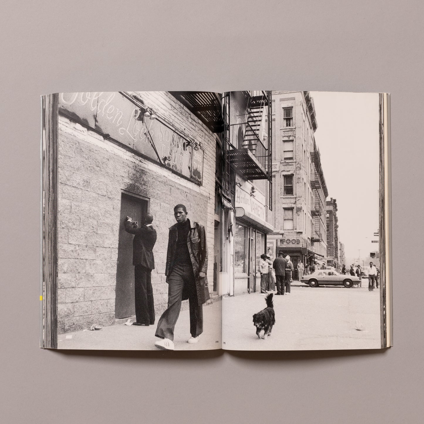NOBUYOSHI ARAKI / The Complete Works of Nobuyoshi Araki Volume 4 (New York)