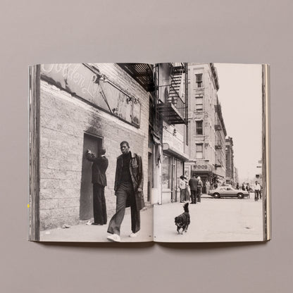 NOBUYOSHI ARAKI / The Complete Works of Nobuyoshi Araki Volume 4 (New York)