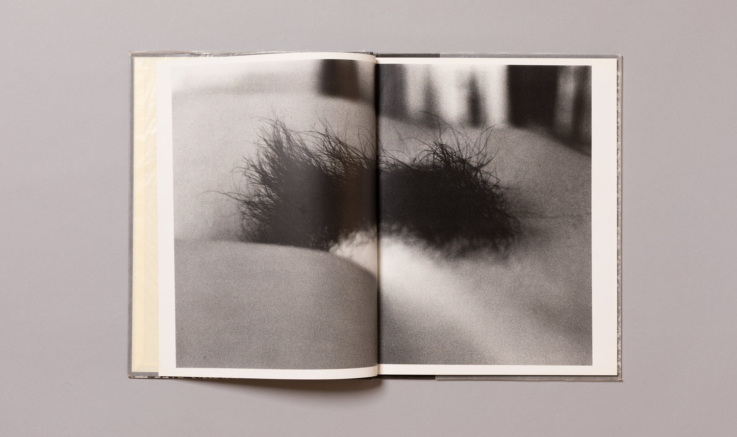 DAIDO MORIYAMA / Imitations