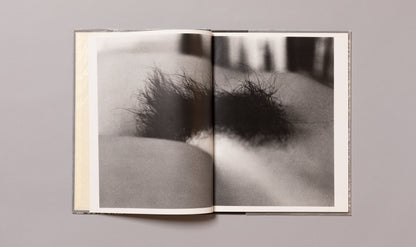 DAIDO MORIYAMA / Imitations