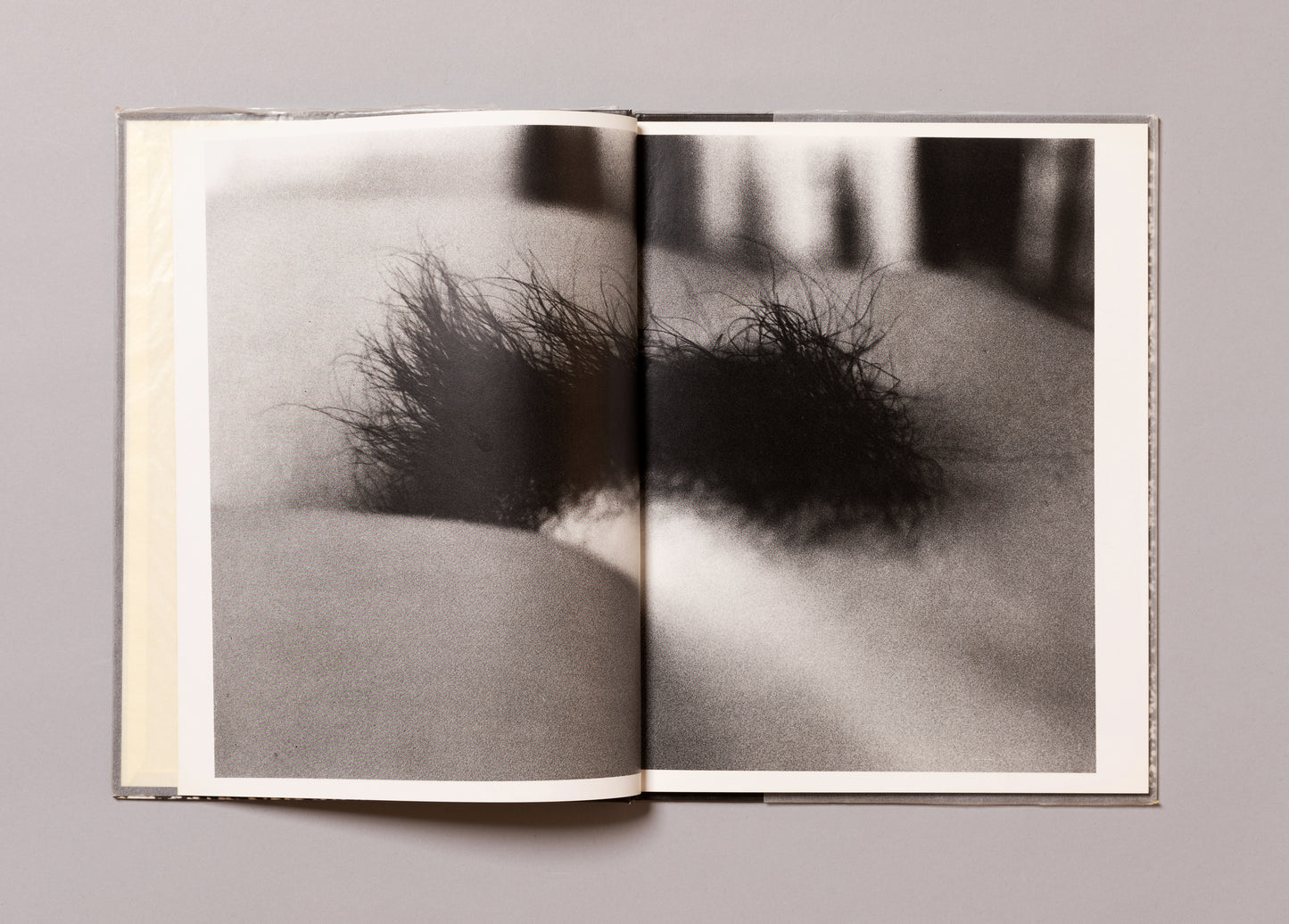 DAIDO MORIYAMA / Imitations