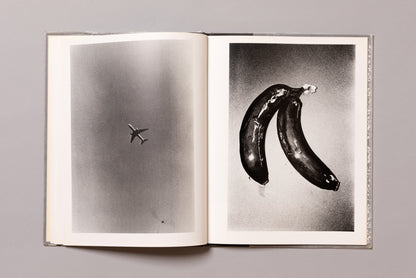 DAIDO MORIYAMA / Imitations