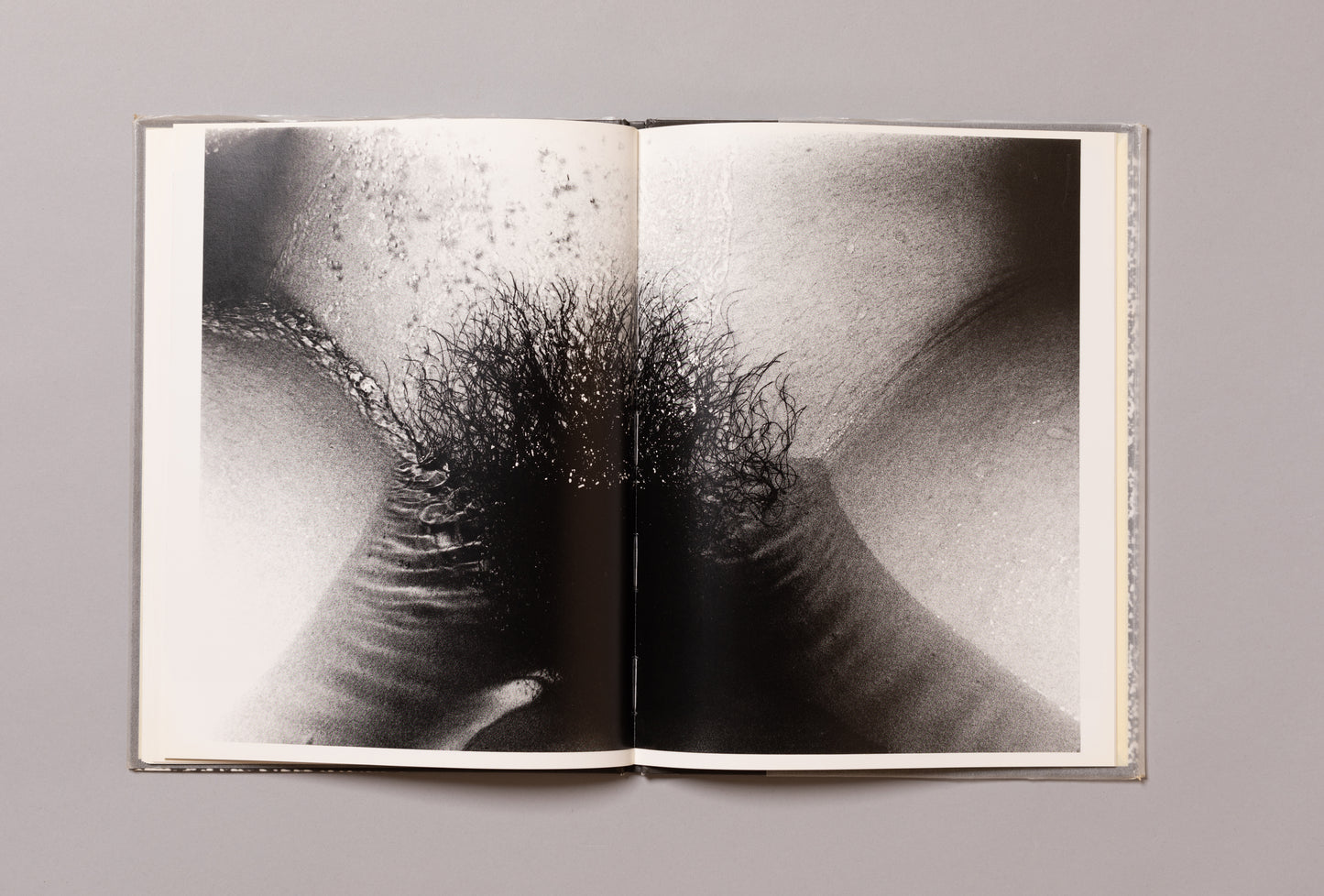 DAIDO MORIYAMA / Imitations