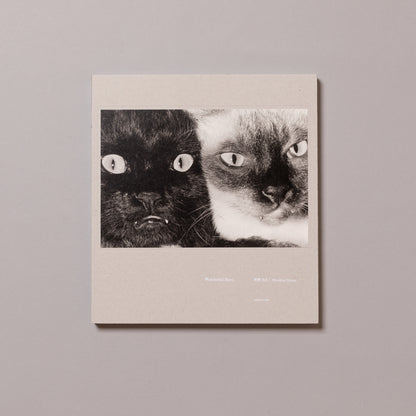 MASAHISA FUKASE / Wonderful Days
