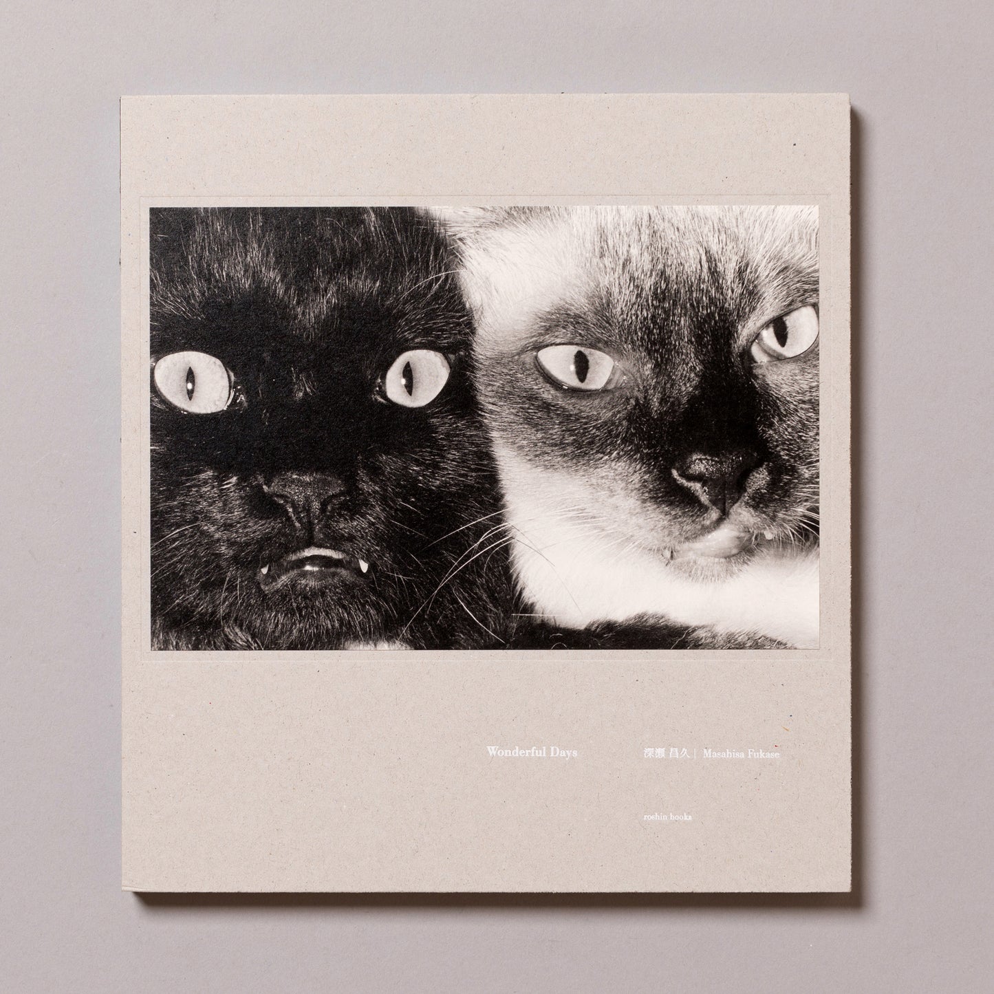 MASAHISA FUKASE / Wonderful Days
