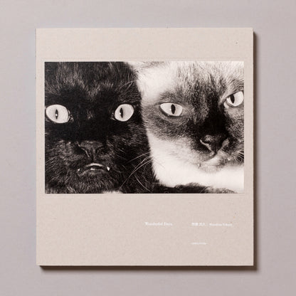 MASAHISA FUKASE / Wonderful Days