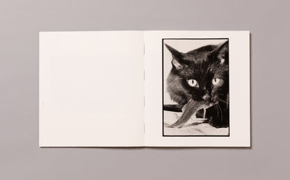 MASAHISA FUKASE / Wonderful Days