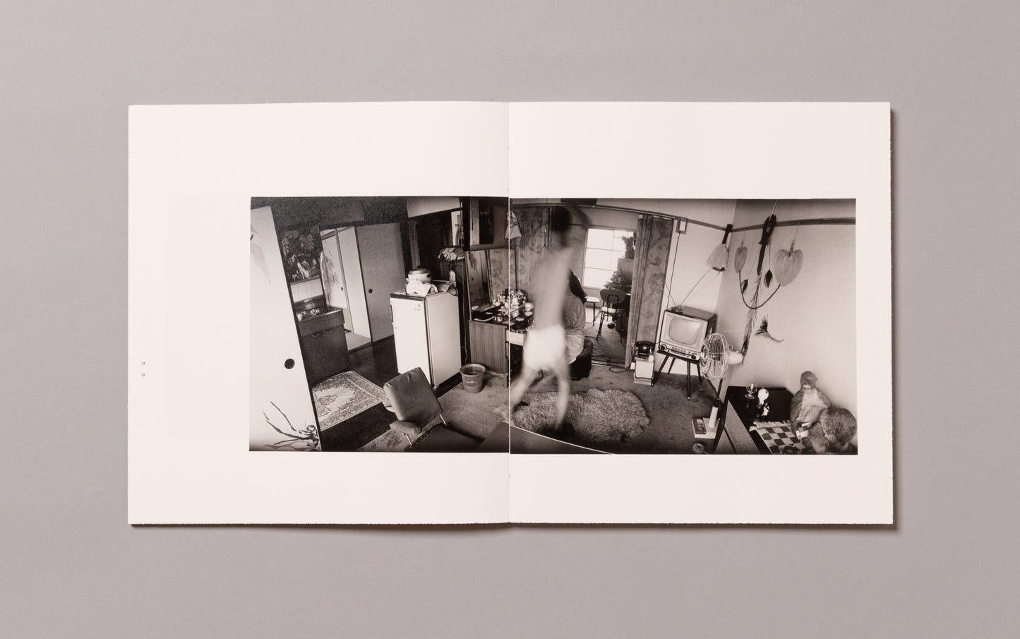 MASAHISA FUKASE / Wonderful Days