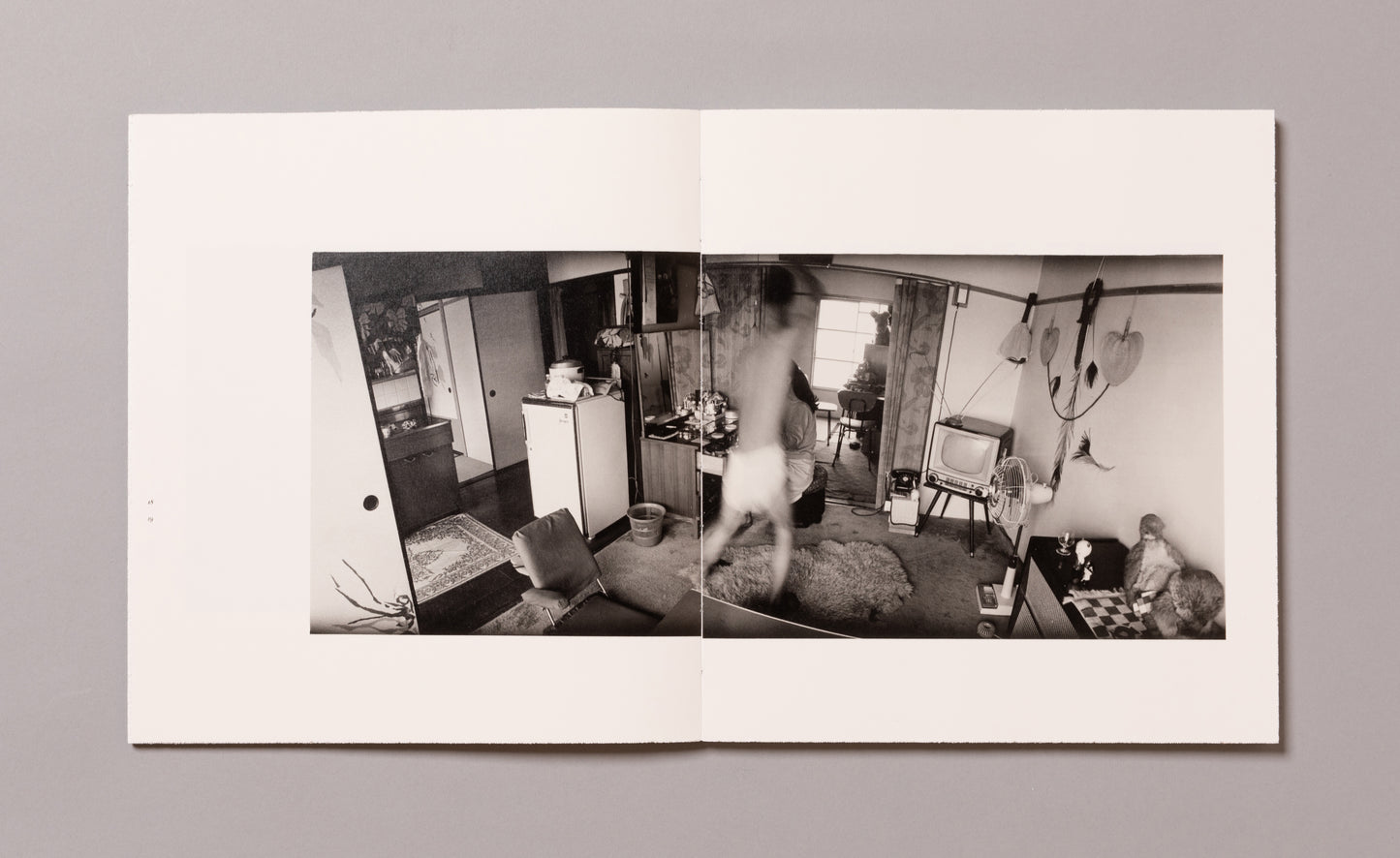 MASAHISA FUKASE / Wonderful Days