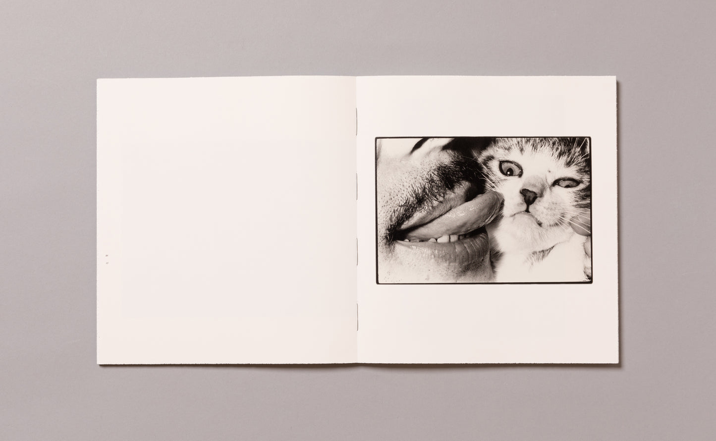 MASAHISA FUKASE / Wonderful Days