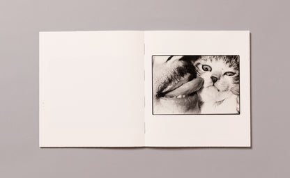 MASAHISA FUKASE / Wonderful Days