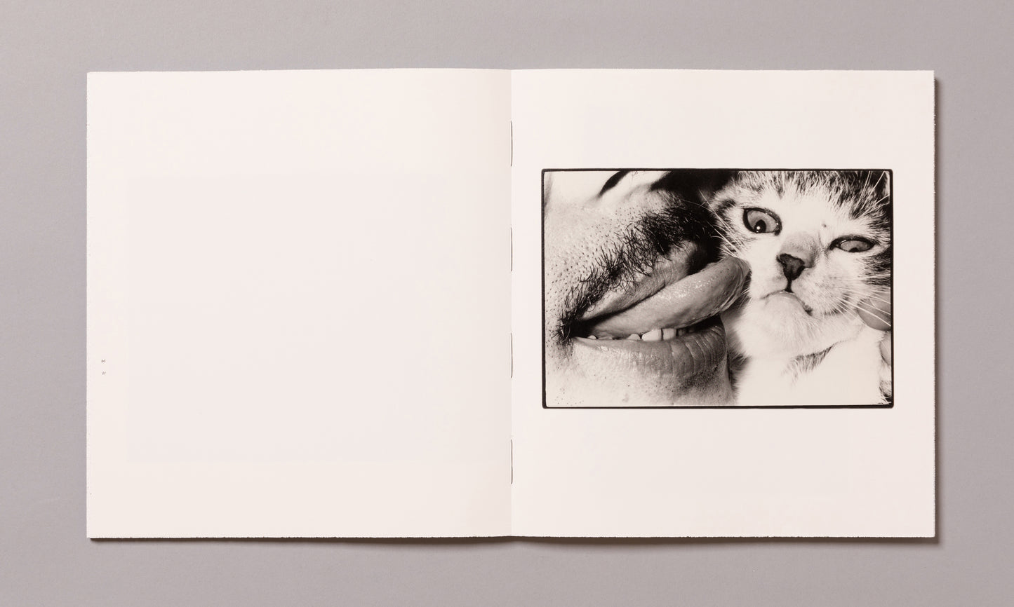 MASAHISA FUKASE / Wonderful Days