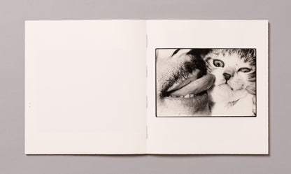 MASAHISA FUKASE / Wonderful Days