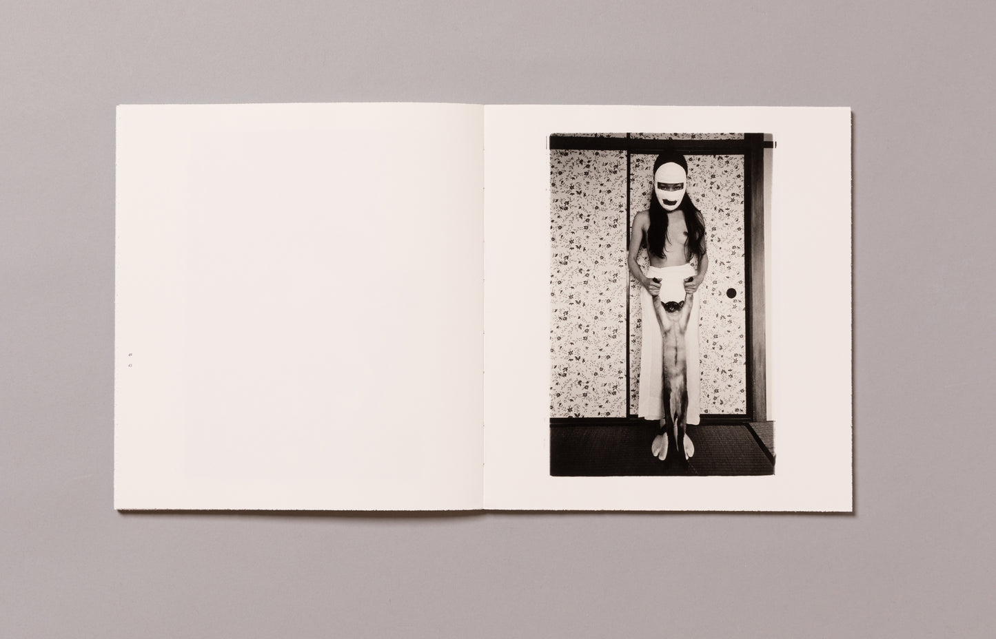 MASAHISA FUKASE / Wonderful Days