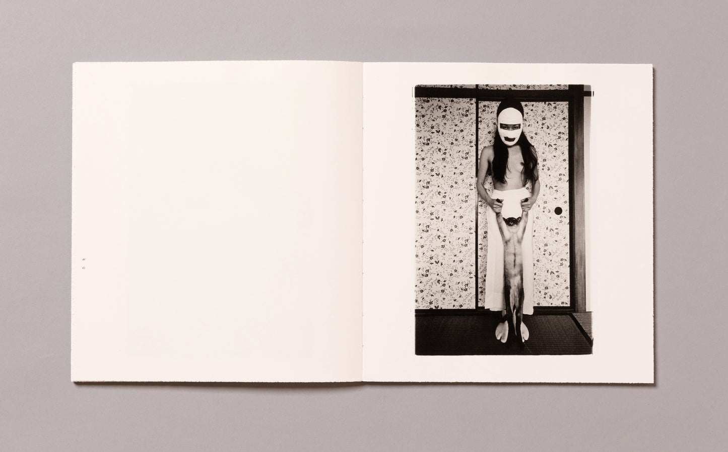 MASAHISA FUKASE / Wonderful Days