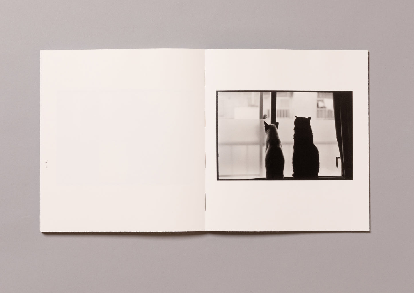 MASAHISA FUKASE / Wonderful Days