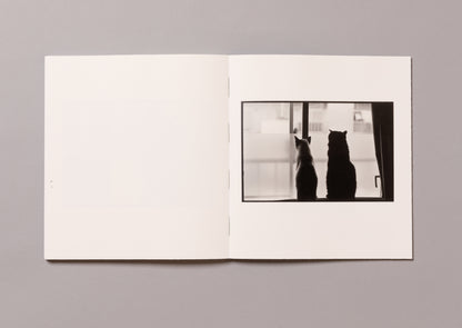MASAHISA FUKASE / Wonderful Days