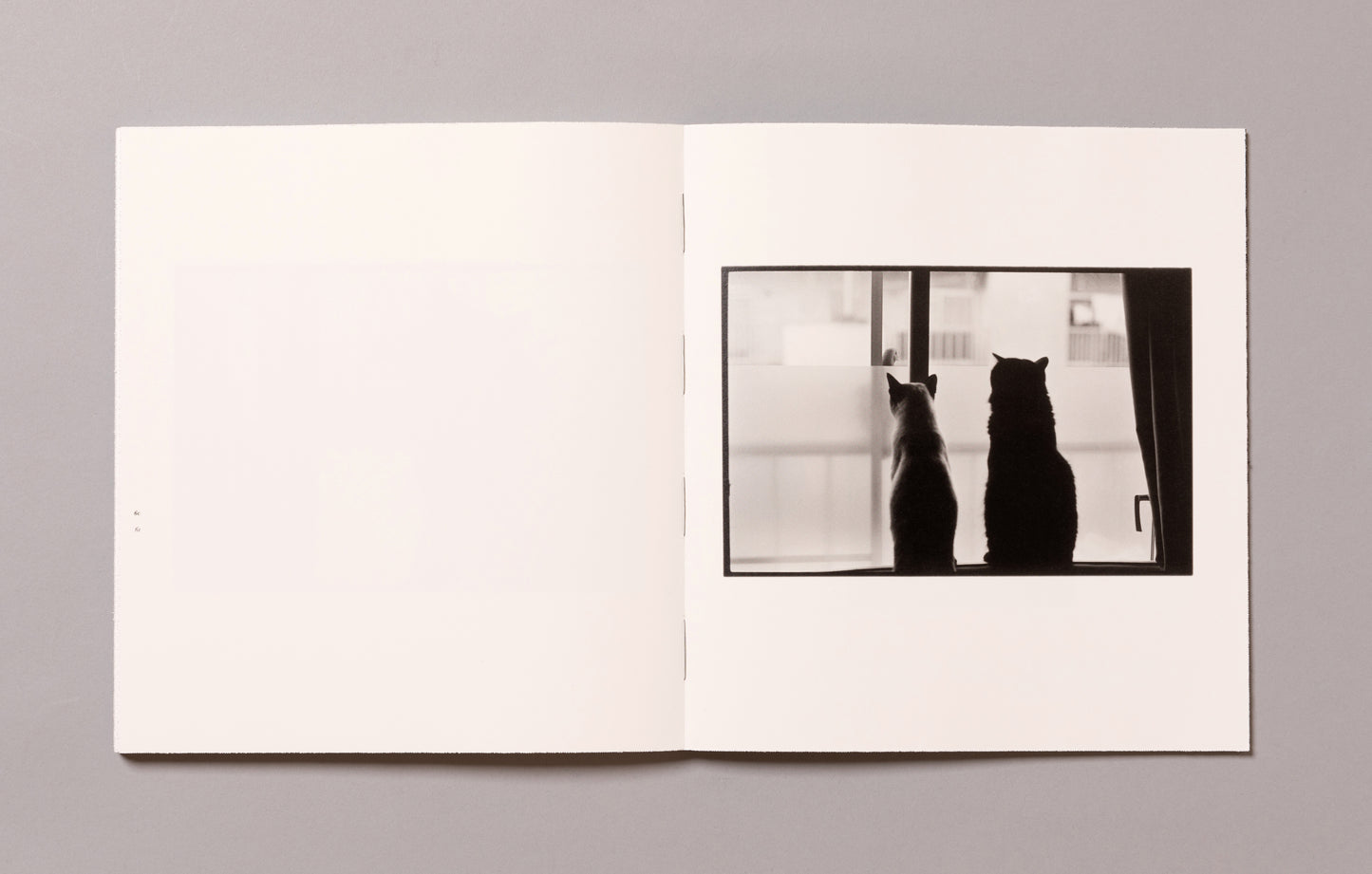 MASAHISA FUKASE / Wonderful Days