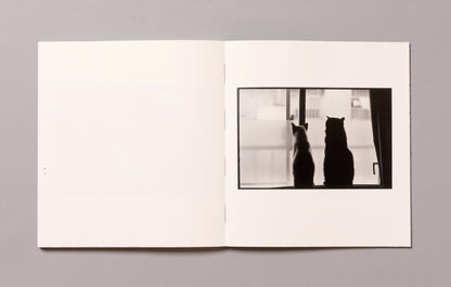 MASAHISA FUKASE / Wonderful Days