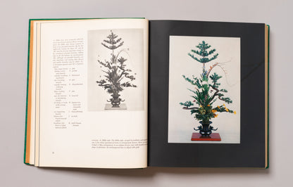 SHOZO SATO / The Art of Arranging Flowers