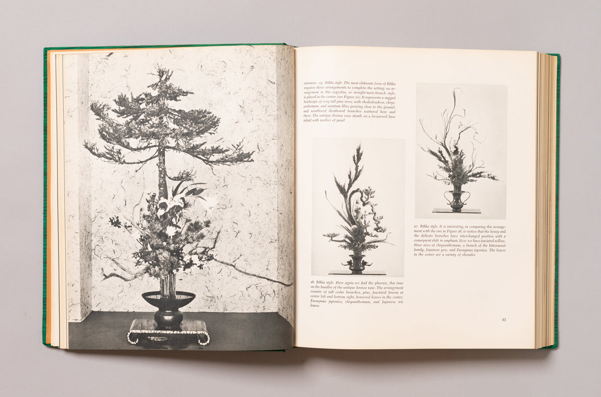 SHOZO SATO / The Art of Arranging Flowers