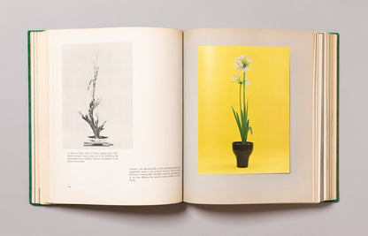 SHOZO SATO / The Art of Arranging Flowers