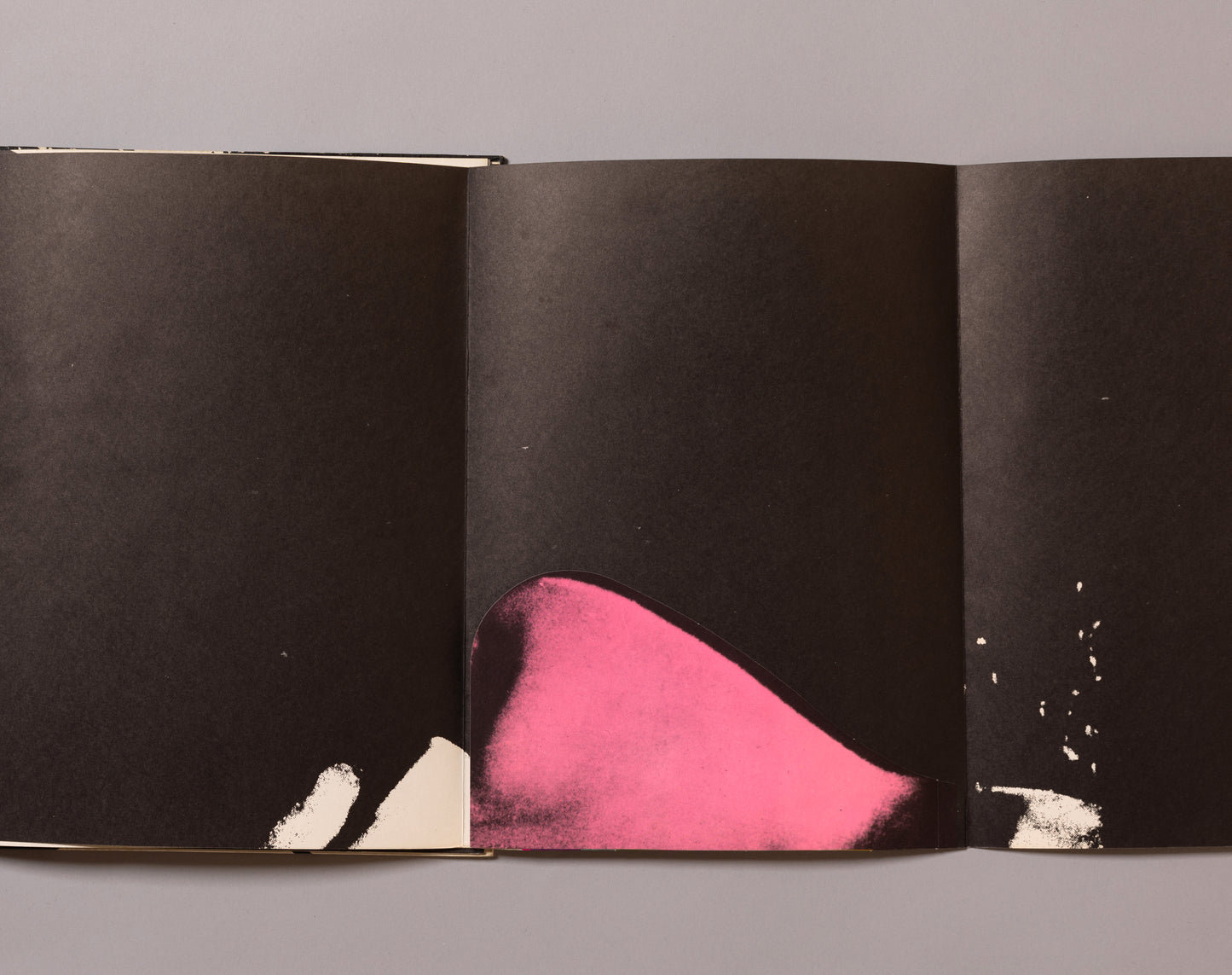 ANDY WARHOL / Index