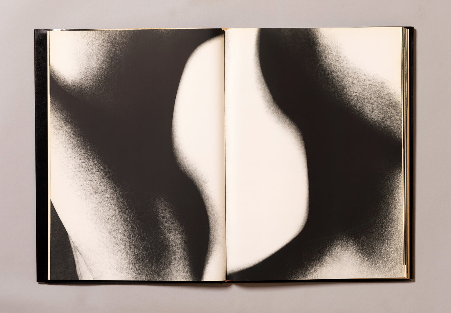 EIKOH HOSOE / Embrace