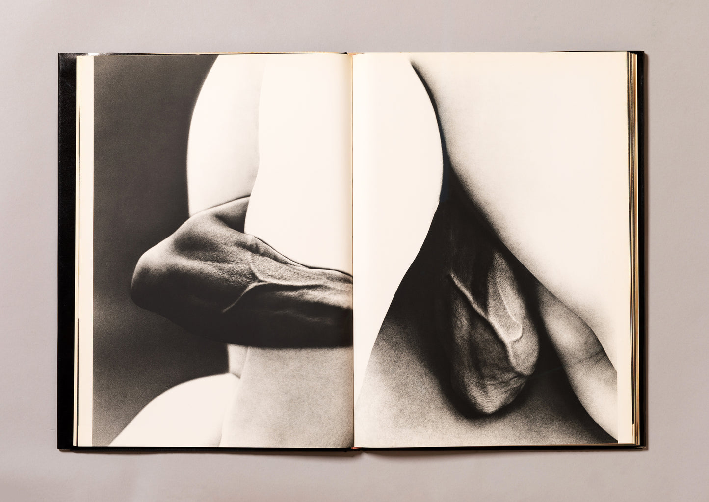 EIKOH HOSOE / Embrace
