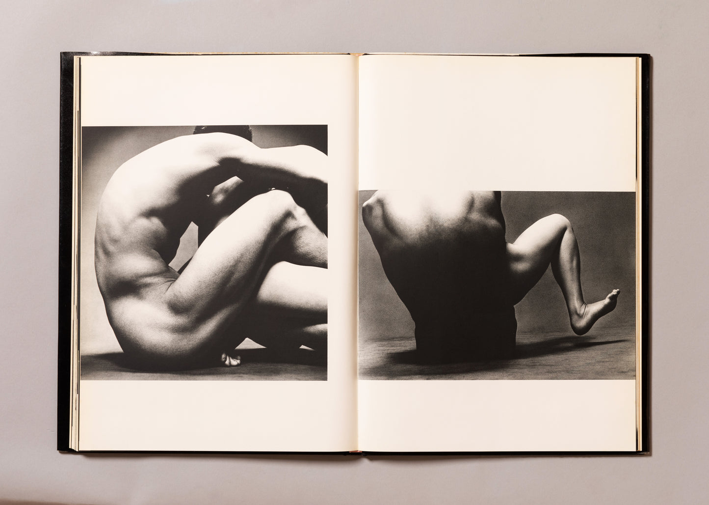 EIKOH HOSOE / Embrace