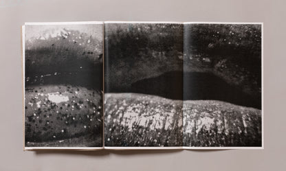 DAIDO MORIYAMA / Lips! Lips! Lips!
