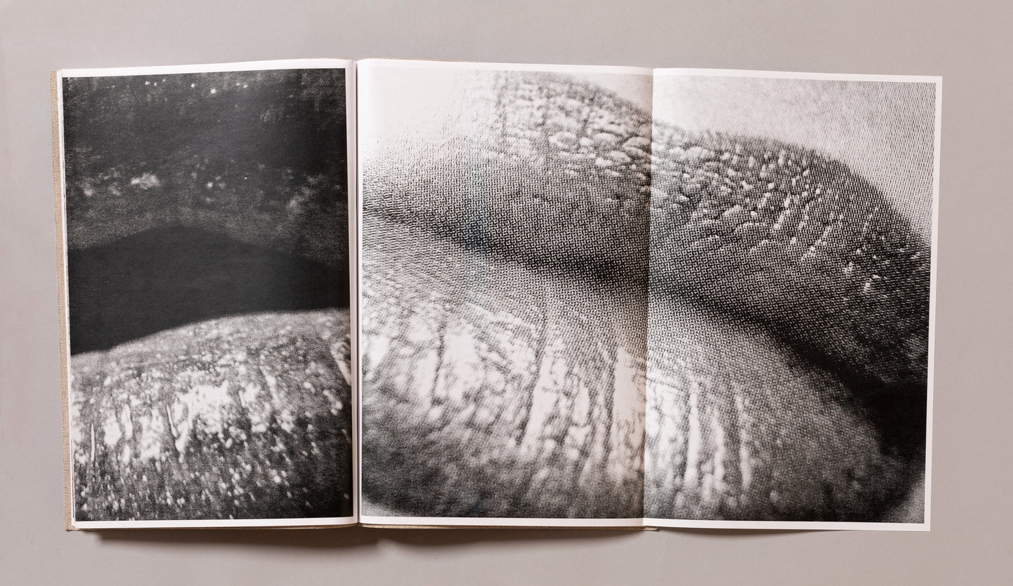 DAIDO MORIYAMA / Lips! Lips! Lips!