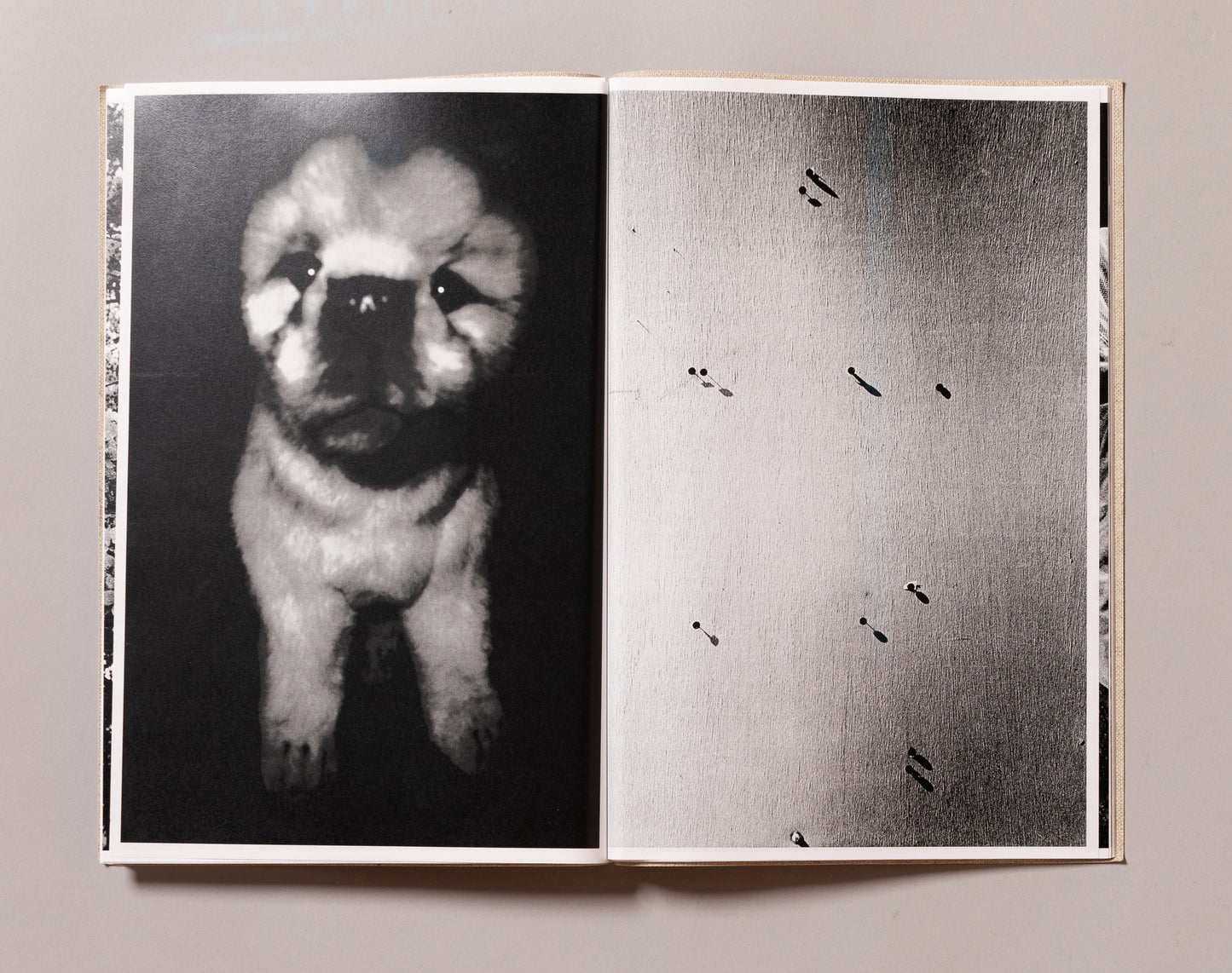 DAIDO MORIYAMA / Naomi