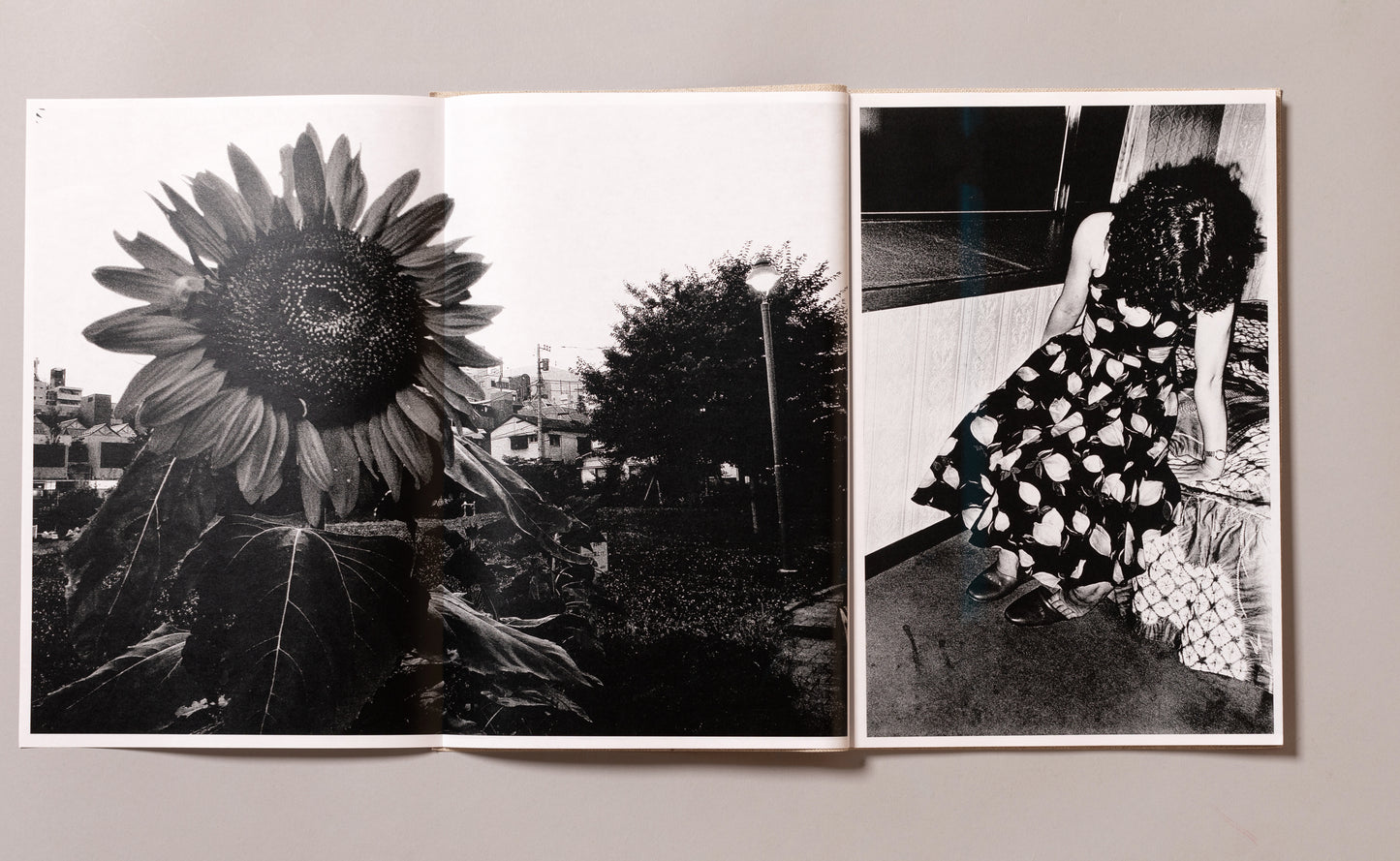 DAIDO MORIYAMA / Naomi