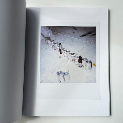 CADY NOLAND / Polaroids 1986-2024