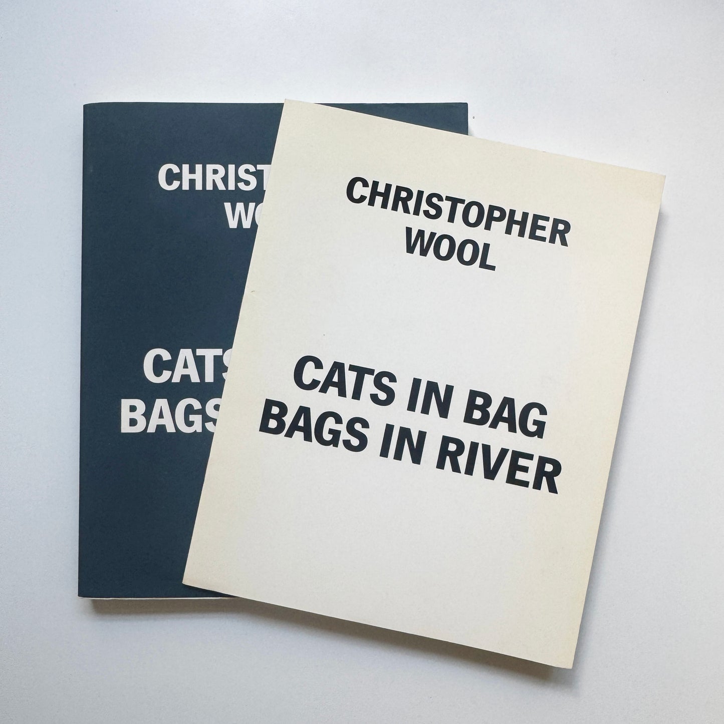 CHRISTOPHER WOOL / Cats in Bag, Bags in River