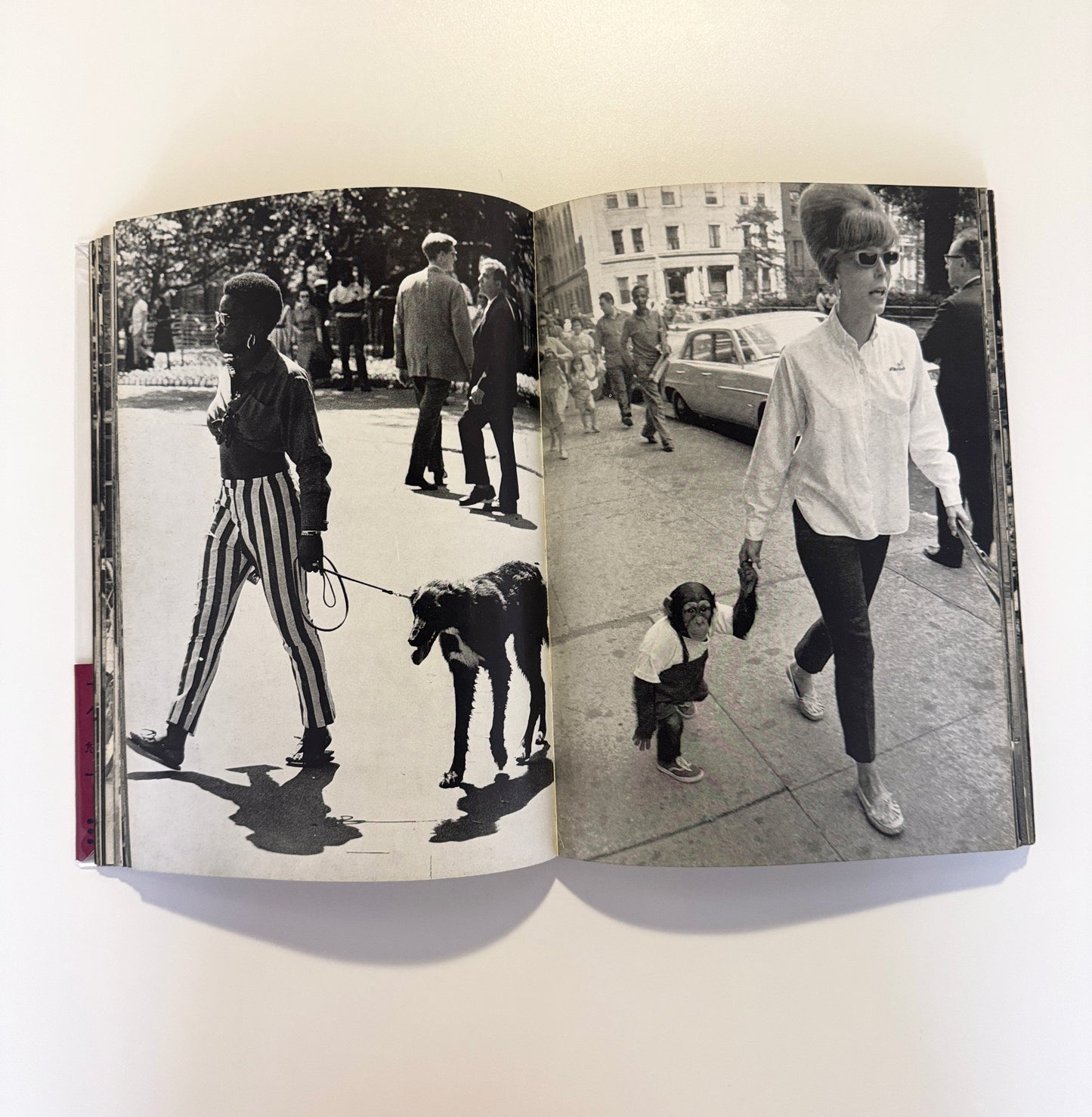 SUMIHARU WATANABE / Face of Washington Square