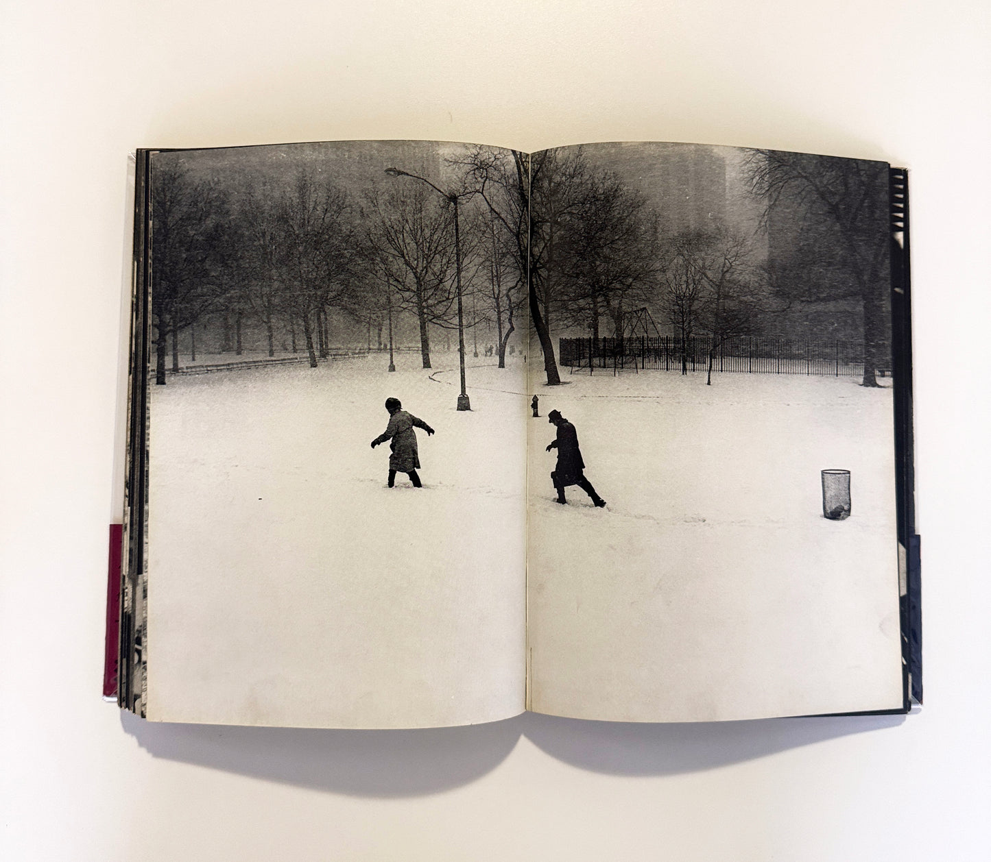 SUMIHARU WATANABE / Face of Washington Square