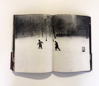 SUMIHARU WATANABE / Face of Washington Square