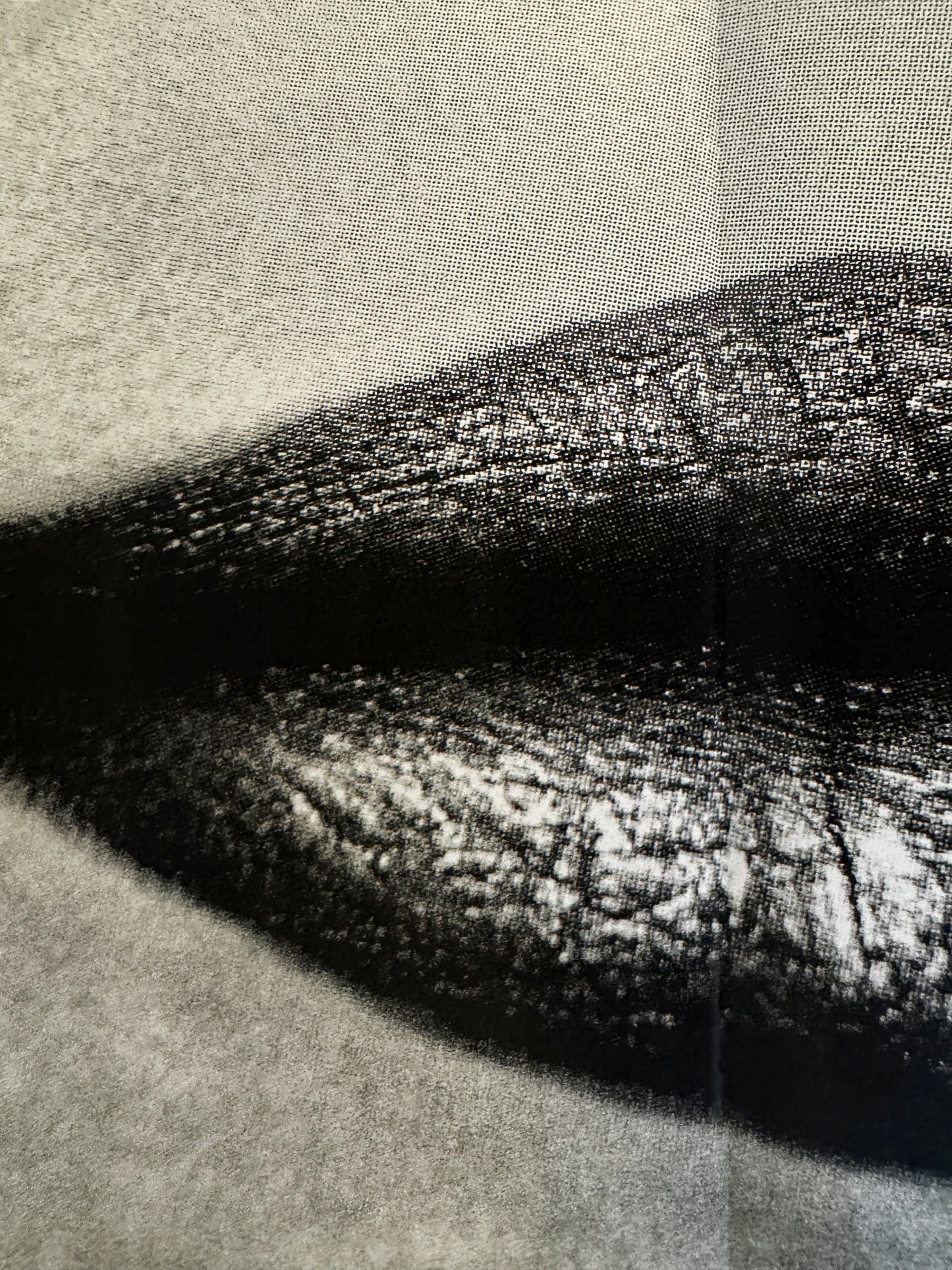 DAIDO MORIYAMA / Lips! Lips! Lips!